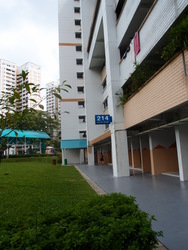 Blk 214 Petir Road (Bukit Panjang), HDB 3 Rooms #187453032